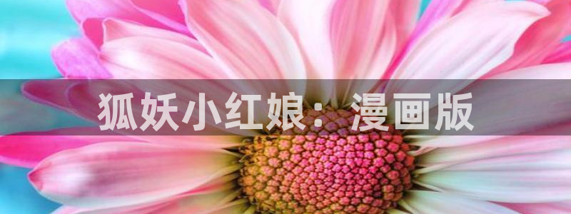 漫蛙manwa2防走失