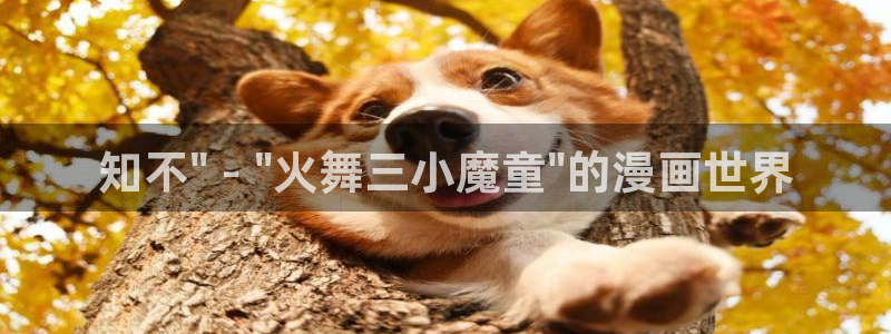 漫蛙manwa2官网版
