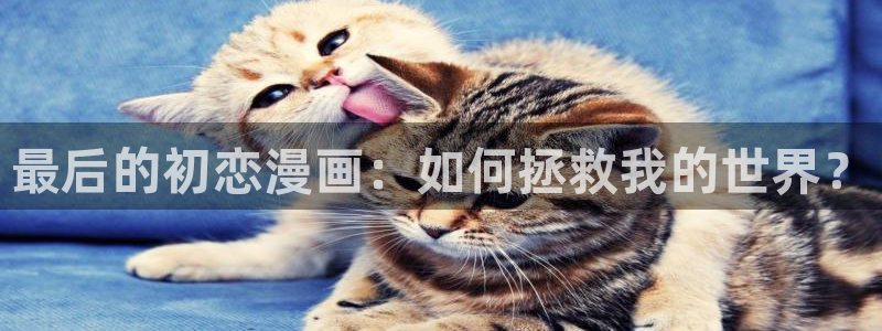 顾小姐和曲小姐漫画漫蛙