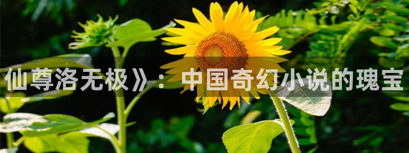 漫蛙manwa正版下载