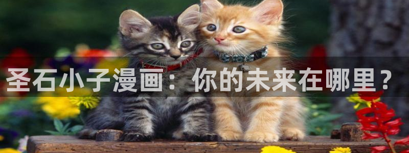 漫蛙漫画版免费入口
