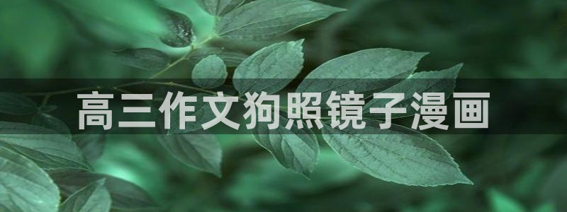 漫蛙2正版网站
