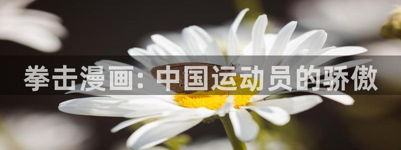 漫蛙动漫官方网页入口