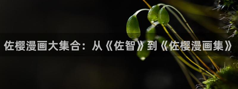 香香漫蛙