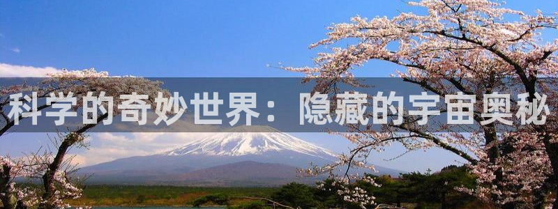 动漫蛙