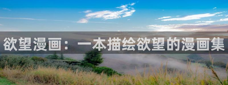 漫蛙网页版免费进入2025