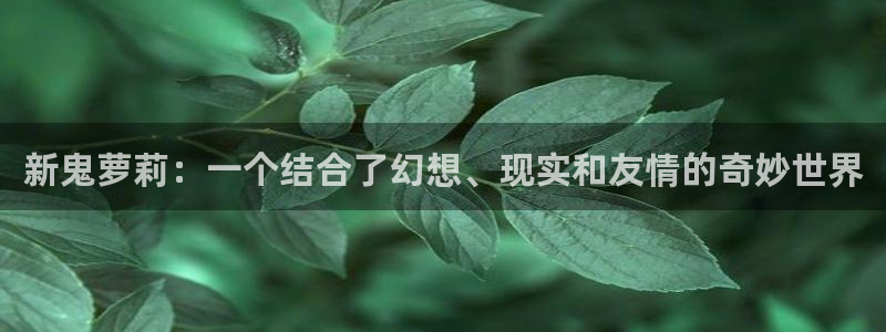 漫蛙进入