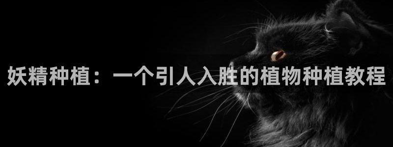 漫蛙漫画app下载正版