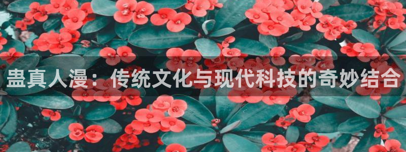 漫蛙哪里下