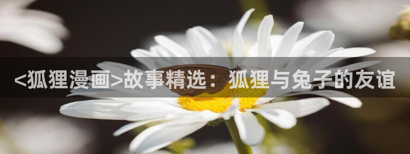 漫蛙app怎么下载安卓